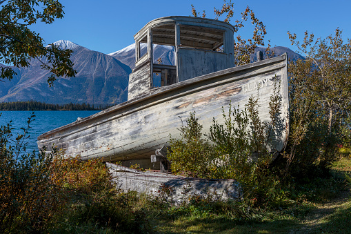 September 16 2018 Atlin Canada. Old historic  boat  of the Gold Rush in Atlin British Columbia Canada.