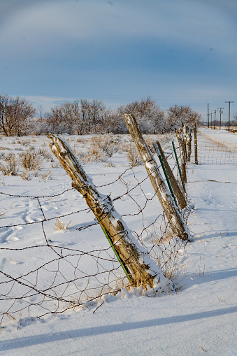 Old leaning ranch fence posts supporting barbed wire fence in snowy Montana in northwestern United States of America (USA).