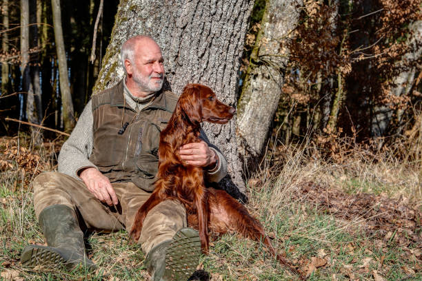 Old man lovingly holds his Irish setter in his arm. stock photo