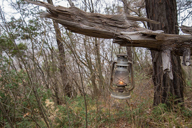 Old metallic dirty and rusty kerosene lamp at forest stock photo