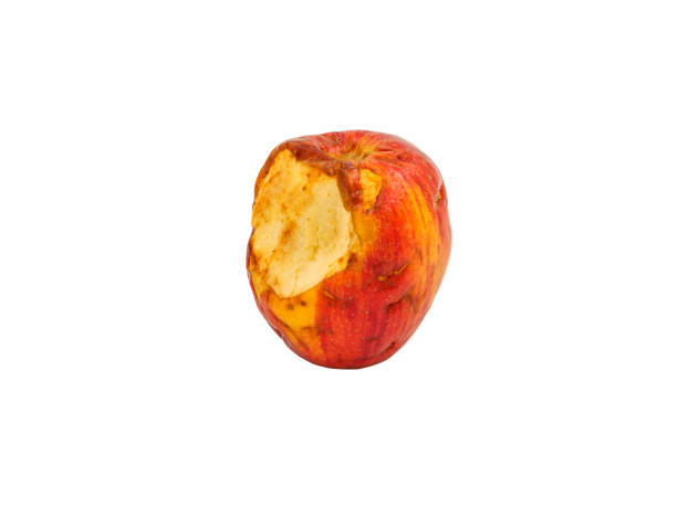 old nibbled apple on a white background, isolate stock photo