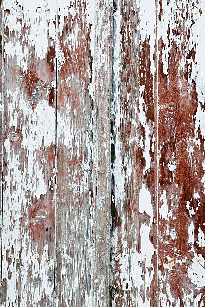 old painted doors stock photo