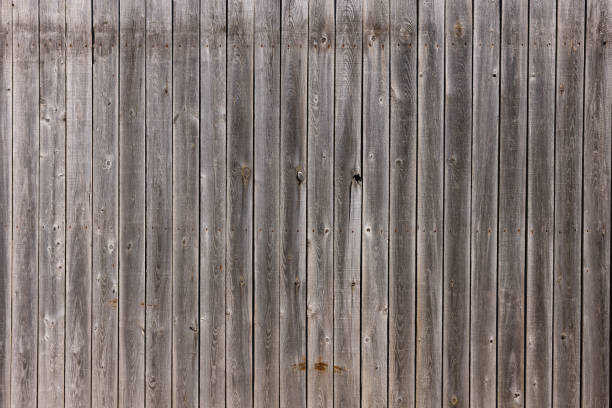 Old Privacy Fence stock photo