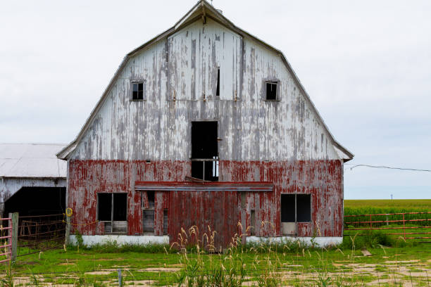 Old rustic barn Old rustic barn in the rural Midwest.  Ogle County, Illinois, USA agricultural building stock pictures, royalty-free photos & images