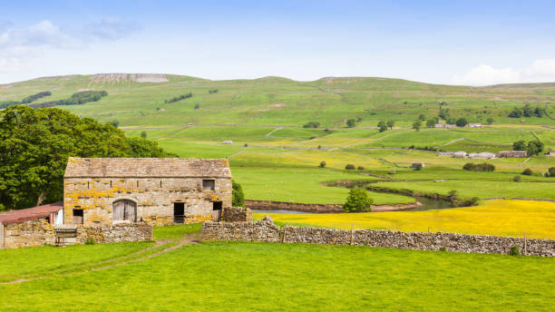 Old Stone Barn in the Yorkshire Dales An old stone barn in the heart of England's Yorkshire Dales, near the town of Hawes. agricultural building stock pictures, royalty-free photos & images