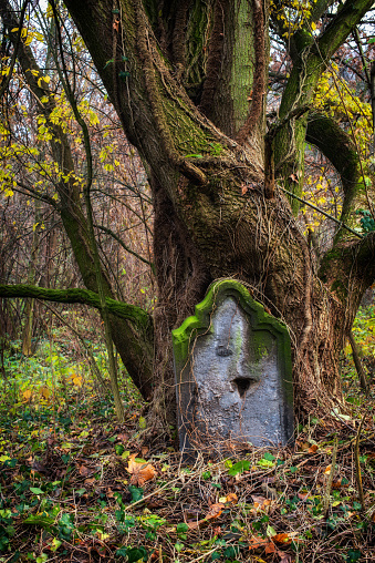 old stone cross in the autumn foliage