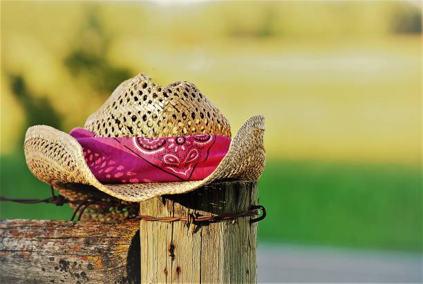 Old Straw Cowboy Hat Resting on a Fence Post stock photo