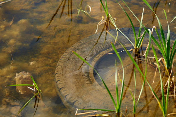 Old tires in water. Environmental pollution. Environmental problem.  contamination stock pictures, royalty-free photos & images