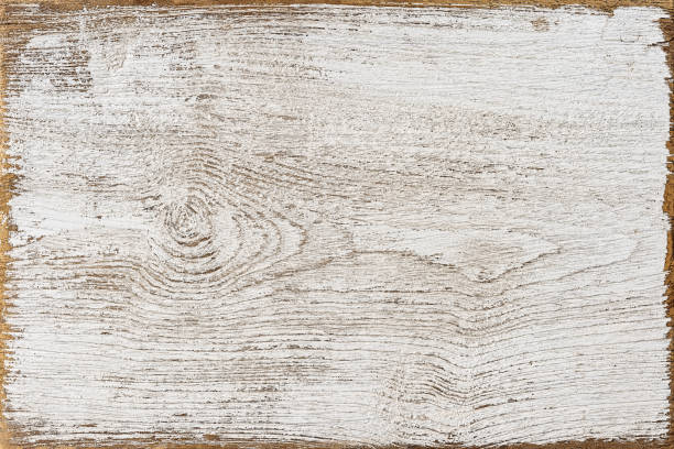 Old weathered white textured wooden teak board panel background with lots of texture and grain and a nice exposed worn wood edge frame. stock photo