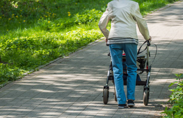 oude vrouw met rollator in het park - rollator  stockfoto's en -beelden