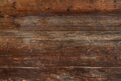 old wood texture with wood worm holes