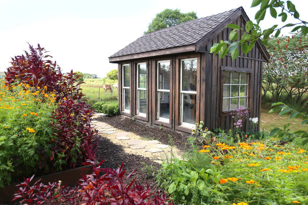 Old Wooden Garden Shed Near Horse Pasture in Lush Summer Cottage Garden An old wooden garden shed is next to a horse pasture in a lush summer cottage garden in the country, surrounded by Red Garnet Amaranth Plants and Cosmo flowers. shed stock pictures, royalty-free photos & images