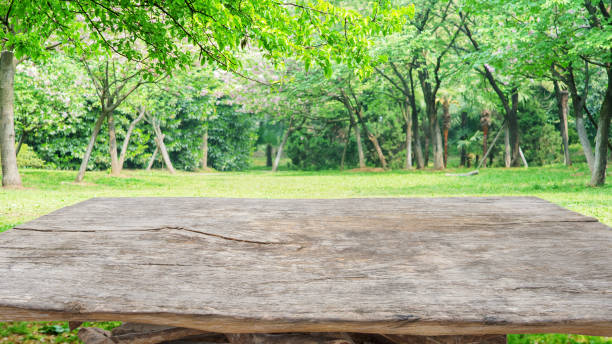 Old wooden table with spring green garden background stock photo