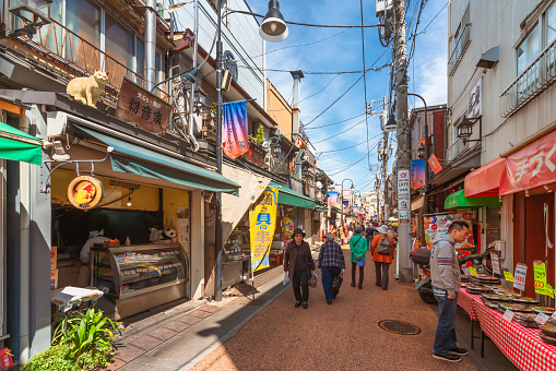 tokyo,japan - april 05 2019: Old-fashioned Yanaka-Ginza shopping street with elderlies pedestrians making shopping at traditional tempura or bento shops adorned with cat statue on the roof.