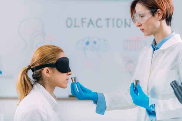 Olfaction Blind Test. Female Scientist Examining Selection of Smell Samples with Eye Cover. stock photo