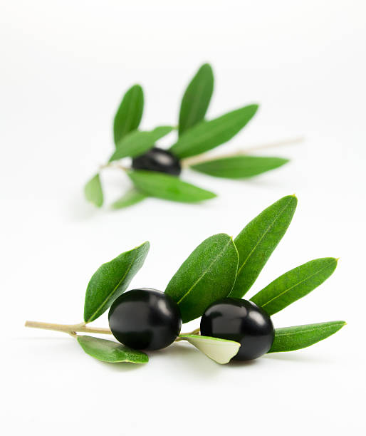 Olive stock photo