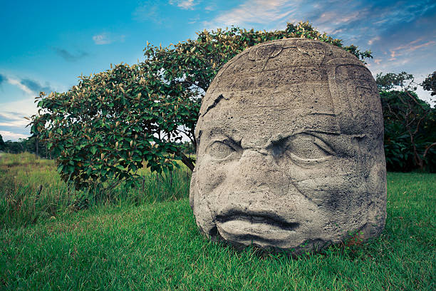 Olmec colossal head in the city of La Venta, Tabasco Olmec Colossal Head in the ancient city of La Venta parque museo la venta stock pictures, royalty-free photos & images
