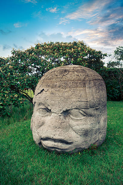 Olmec colossal head in the city of La Venta, Tabasco Olmec Colossal Head in the ancient city of La Venta parque museo la venta stock pictures, royalty-free photos & images