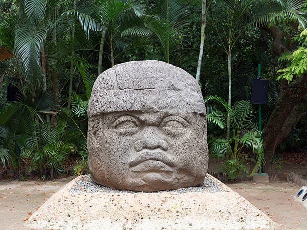 Olmec Colossal Head The Olmec colossal heads are at least seventeen monumental stone representations of human heads sculpted from large basalt boulders. The heads date between 900 and 700 BC and are a distinctive feature of the Olmec civilization of ancient Mesoamerica. Many are exhibited in the city of Villahermosa in the Parque-Museo La Venta. Tabasco, Mexico. parque museo la venta stock pictures, royalty-free photos & images