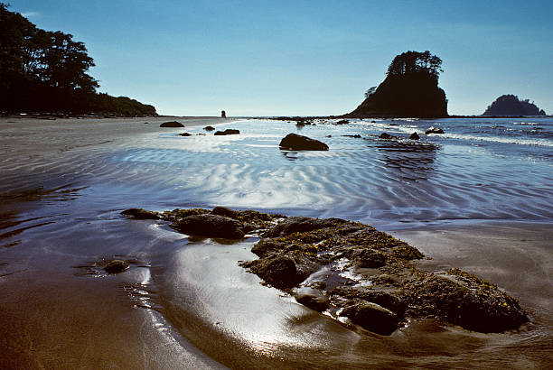 Pacific Ocean at Low Tide Olympic National Park is undoubtedly the most diverse national park in the United States. Because of this diversity and its incredible beauty, the United Nations designated Olympic National Park as a UNESCO World Heritage Site in 1981. In addition to the Olympic high country, the park also protects over 70 miles of Pacific Ocean wilderness coastline, making it the longest undeveloped coast in the lower 48 states. Over 90% of Olympic National Park is designated as wilderness. You can access the outer edges of the park by road but the heart of the Olympics along with its coastline is primitive wilderness. This scene of ocean, rocks and tide pools was photographed at Cape Alava in Olympic National Park, Washington State, USA. jeff goulden seascape stock pictures, royalty-free photos & images