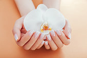 Ombre french manicure with sparkles and orchid on orange background. Woman with white ombre french manicure holds orchid flower. Body care