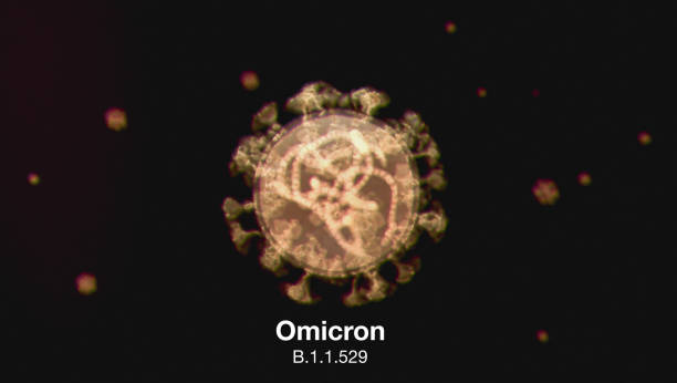 오미칸 코로나바이러스 - omicron 뉴스 사진 이미지