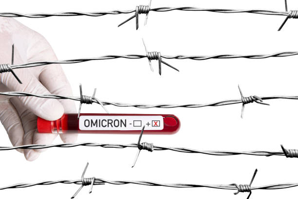 omicron variant and border security - omicron covid stok fotoğraflar ve resimler