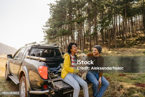 istock On a road trip with our dog 1324381802