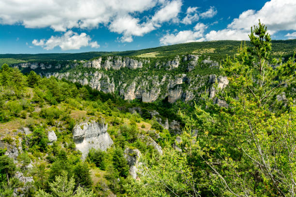 On the Pilgrimage way to Saint Guilhem le Desert A view of the Gorges du Tarn, between Lozere and Aveyron gorges du tarn stock pictures, royalty-free photos & images