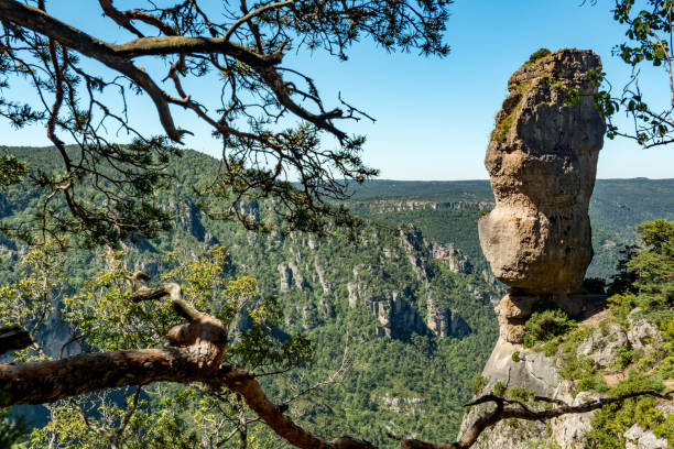 On the Pilgrimage way to Saint Guilhem le Desert This rock in balance, called the Vase de Sèvre, overlooks the valley of the river Jonte gorges du tarn stock pictures, royalty-free photos & images
