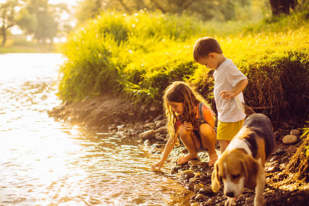 On the riverbank Portrait of a little boy, his sister and their beagle dog standing by the riverbank, playing with water riverbank stock pictures, royalty-free photos & images