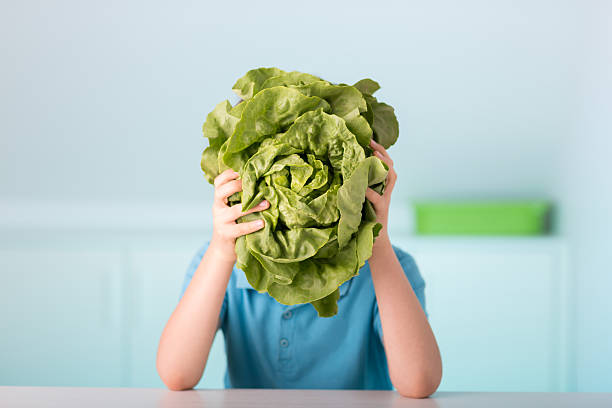 one 9 years old boy with green lettuce stock photo