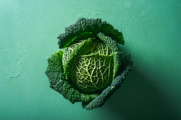 One cabbage on green background. Savoy cabbage. Healthy eating Single cabbage on aqua menthe table. Above view of green savoy cabbage in sunlight. Organic food. Detox diet vegetables. Freshly harvested cabbage. aqua menthe photos stock pictures, royalty-free photos & images