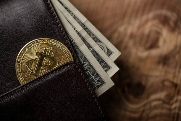 one coin of bitcoin on a wallet with dollars stock photo