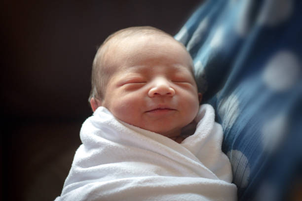 One day old, newborn stock photo