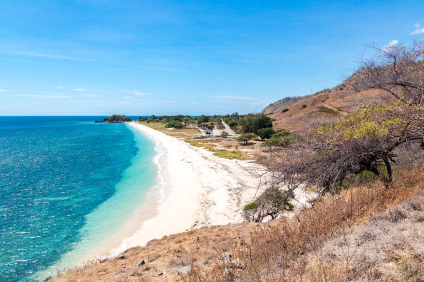 one dollar beach. idillic yellow sandy beach of east timor, timor-leste. coastline with hills, mountains and dry savanna. rural landscape and nature between dili and manatuto. maritime southeast asia - timor hot imagens e fotografias de stock