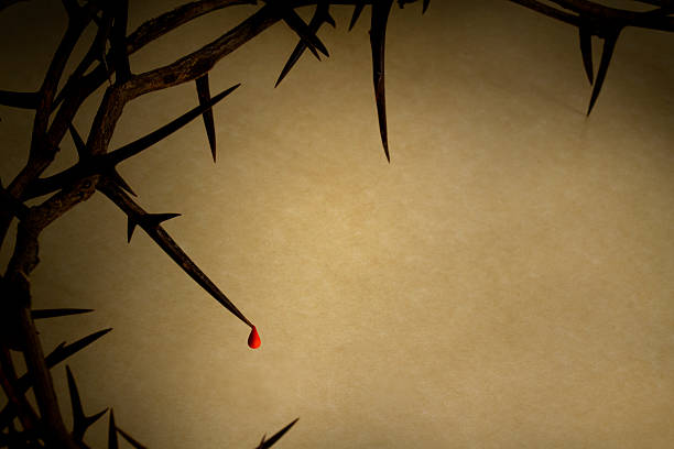 One Drop Of His Blood Good Friday Easter Holiday Theme  good friday stock pictures, royalty-free photos & images