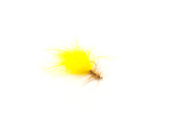 One fly fishing lure in different files and colors isolated on white background stock photo