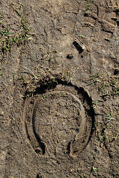 One hoof print in soft mud Clear impression in soft mud of a horse's hoof print. A horse shoe is a symbol of good luck when turned the other way up. In this orientation it is reckoned that 'the luck runs out'. Fortunately, a photograph is easily switched the other way up. This is a bridle path on Mitcham Common, Surrey, UK. Some more photographs with puddles and mud: . horse hoof prints stock pictures, royalty-free photos & images