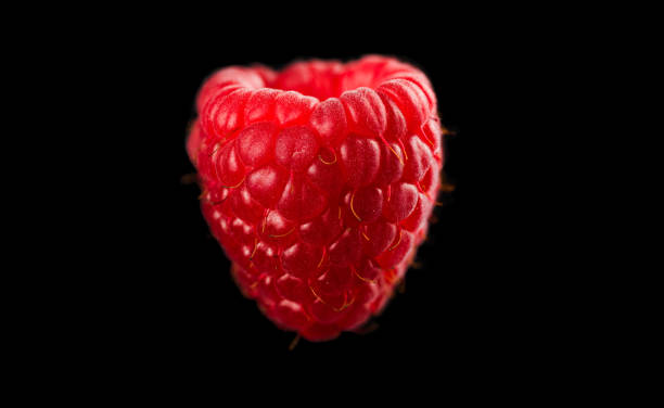 One raspberry closeup isolated on black background. Very detailed macro shoot stock photo