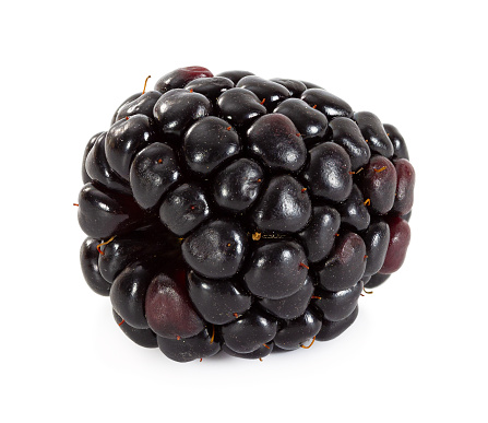 One ripe blackberry isolated on white background.