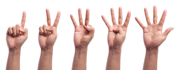 One to five fingers count hand gesture isolated stock photo