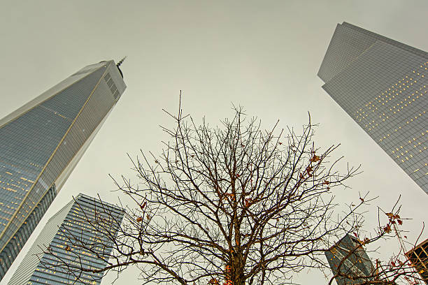 one world trade center and buildings autumn winter stock photo