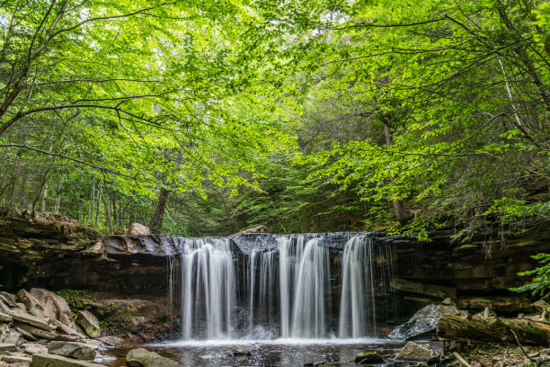 Oneida Waterfall in Ricketts Glen State Park A canopy of green shades the summer waters of Kitchen Creek at Oneida Falls in Ricketts Glen State Park of Pennsylvania. state park stock pictures, royalty-free photos & images