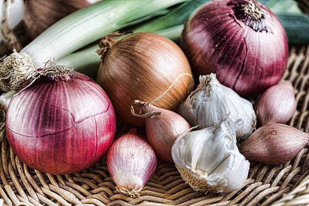 Onion Family Members of the onion family-shallots, red onions, garlic, shallots, leeks, yellow onions garlic stock pictures, royalty-free photos & images