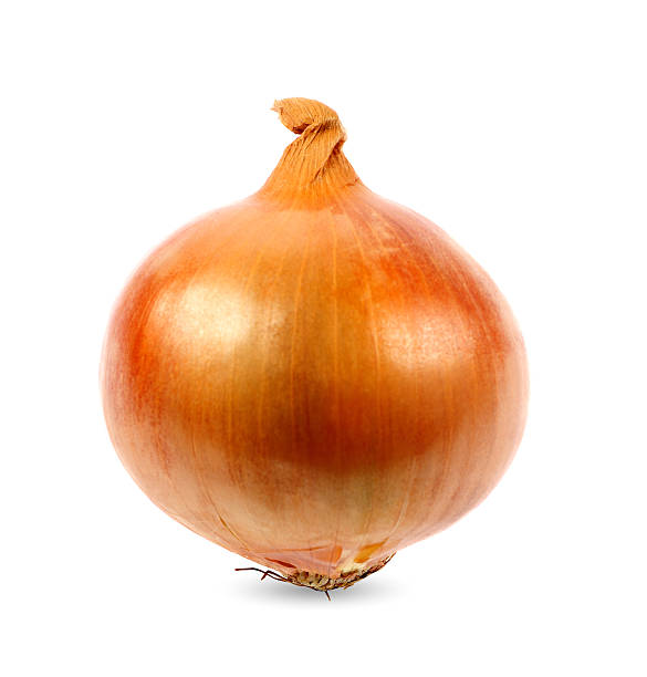 Onion on White Background stock photo