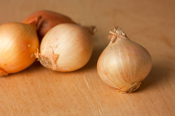 onion stock photo