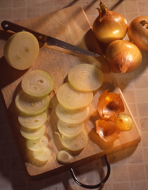 Onion stock photo