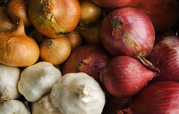 Onions and Garlics Variety of Onion Family Vegetable Crop stock photo