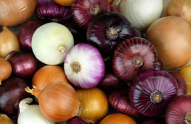 onions of different varieties - ui stockfoto's en -beelden